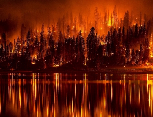 Waldbrandverordnung 2023
